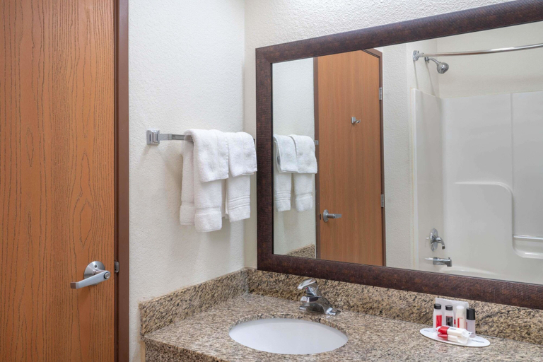 Bathroom 4, Baymont by Wyndham Albany, Clinton