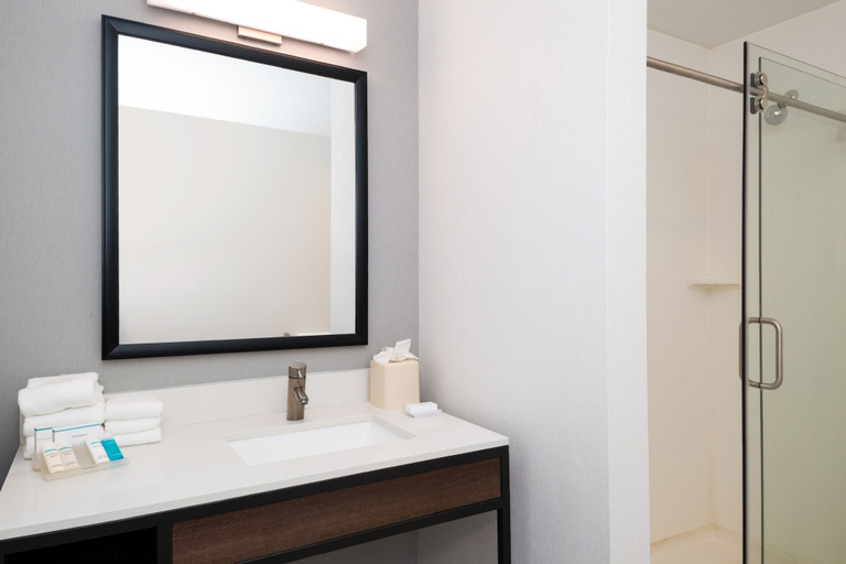 Bathroom 4, Hilton Garden Inn Baton Rouge Airport, East Baton Rouge
