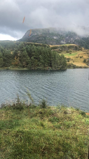 Others 5, hermosa cabaña coyhaique, Coihaique