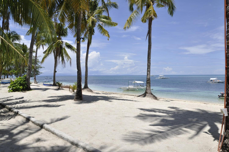 Others 5, Little Mermaid Dive Resort, Daanbantayan