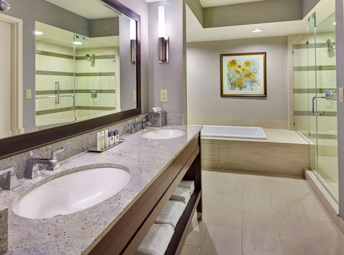 Bathroom 5, DoubleTree by Hilton Washington DC - Crystal City, Arlington