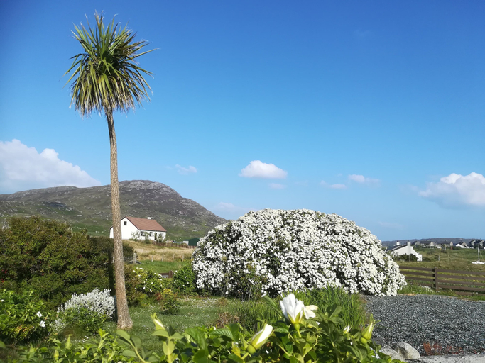 Others 4, Brae Lea Guest House, Eilean Siar
