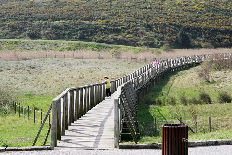 Others 4, El Pradón, Cantabria