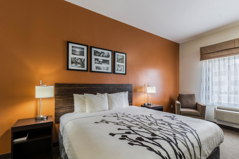 Bedroom 2, Sleep Inn & Suites Stafford - Sugarland, Fort Bend