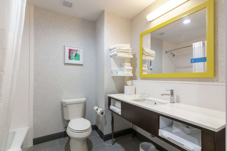 Bathroom 4, Hampton Inn & Suites Dallas East, Dallas