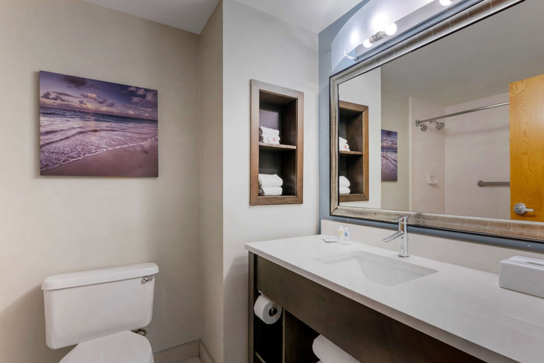Bathroom 4, Comfort Inn & Suites Melbourne-Viera, Brevard