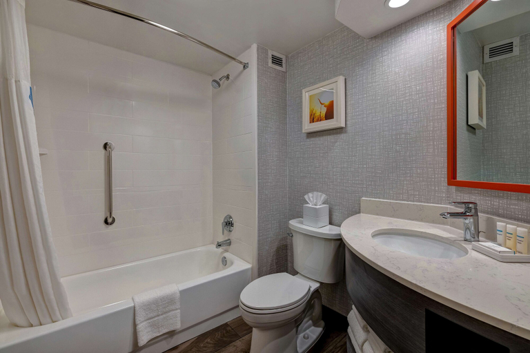 Bathroom 5, Hampton Inn San Antonio-Downtown (River Walk), Bexar