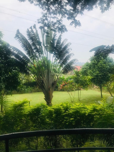 Others 4, Natures Guesthouse, Kampala