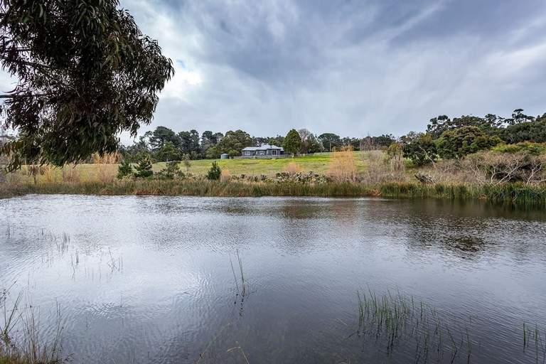 Others 2, Green Olive at Red Hill, Melbourne