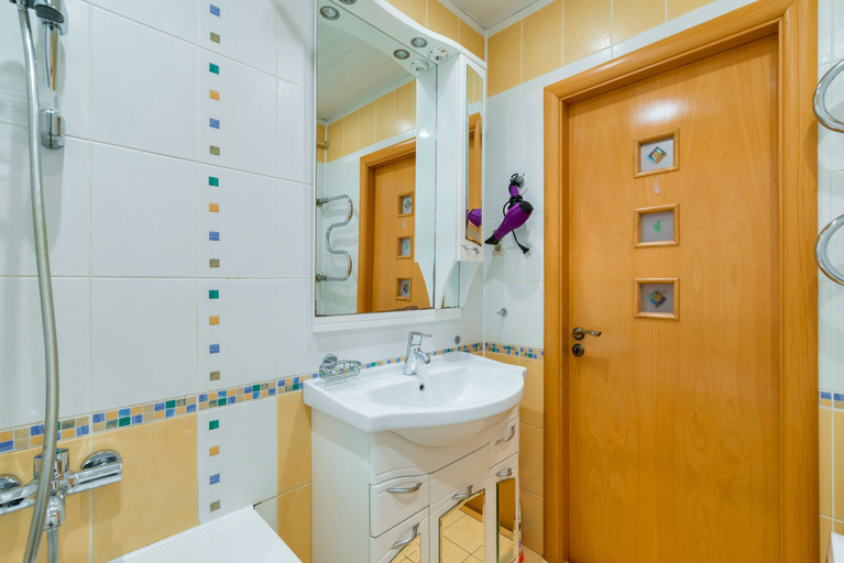 Bathroom 2, Apartment 5-Liniya, Sankt-Peterburg gorsovet
