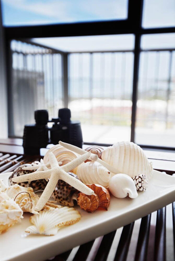 Food & Drinks 5, Langley Park Apartments, Maroochy - Maroochydore