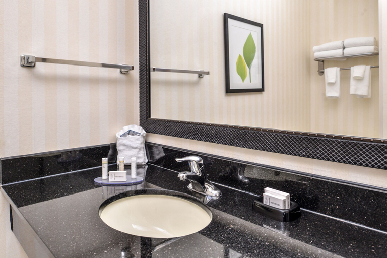 Bathroom 3, Fairfield Inn & Suites by Marriott Pelham, Shelby