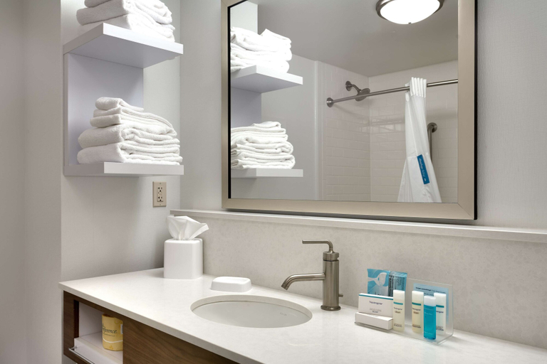 Bathroom 5, Hampton Inn & Suites Pocatello, Bannock