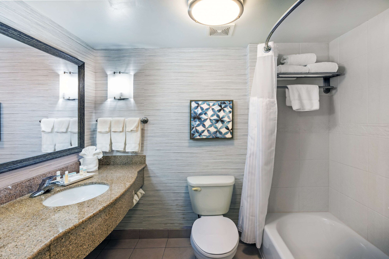 Bathroom 4, Hilton Garden Inn Aiken, Aiken