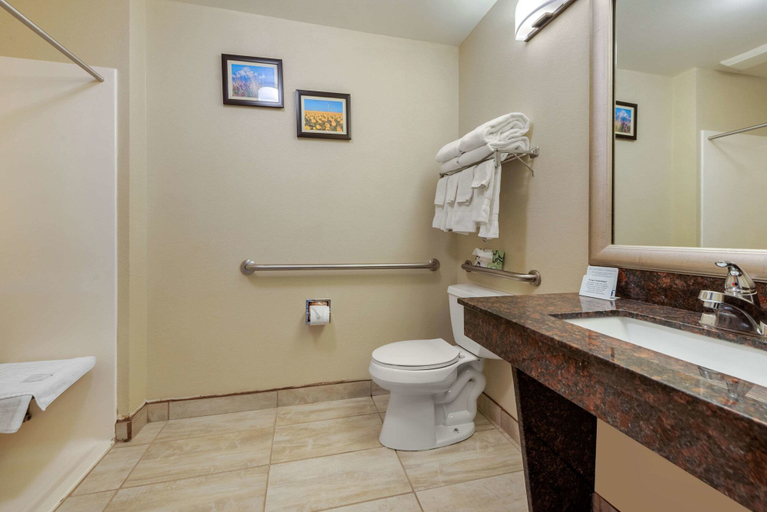 Bathroom 4, Comfort Inn Limon, Lincoln