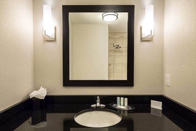Bathroom 4, Comfort Suites Beachfront, Virginia Beach