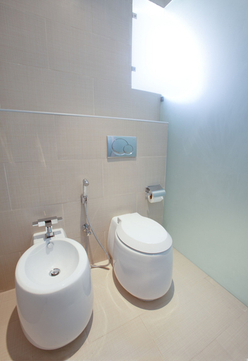 Bathroom 4, The Rester Hotel