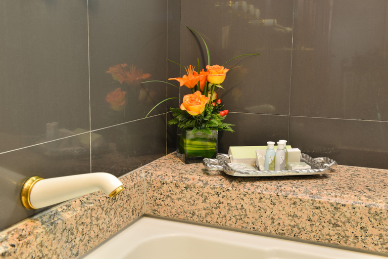 Bathroom 4, Hotel Plaza Del Libertador, Distrito Central