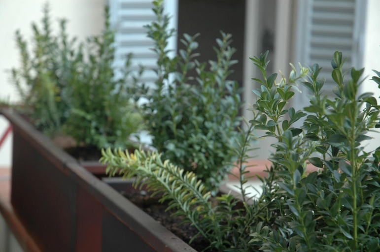 Others 5, Ghibellino B&B, Arezzo