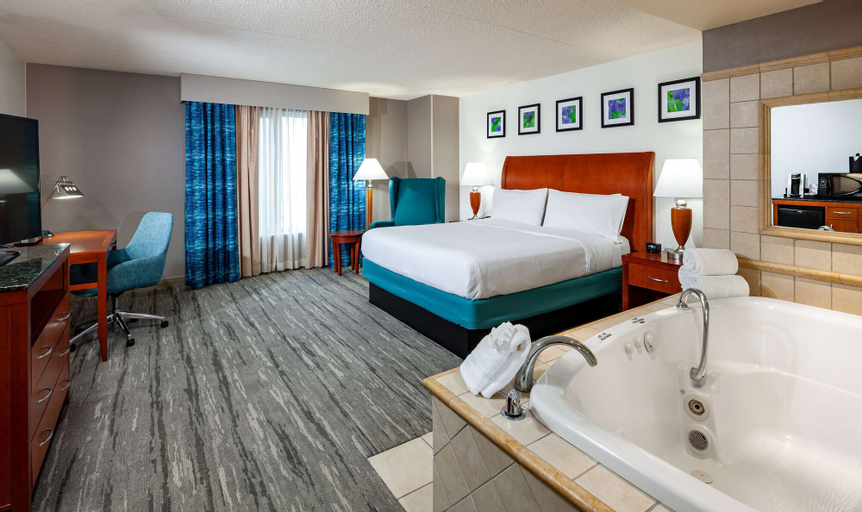 Bedroom 3, Hilton Garden Inn Chicago OHare Airport, Cook
