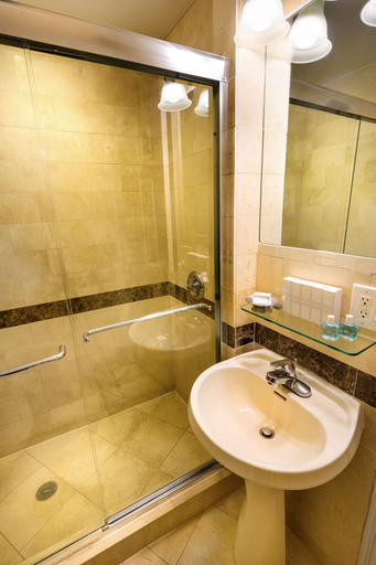 Bathroom 4, Hotel Beacon, New York