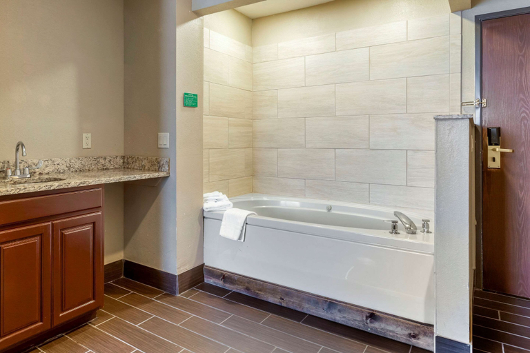 Bathroom 4, Comfort Inn Sault Ste. Marie MI, Chippewa