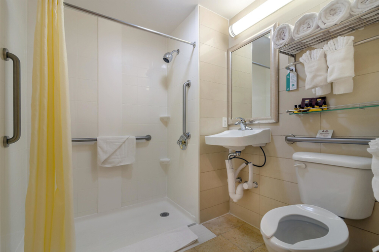 Bathroom 3, Best Western Plus Plaza Hotel, New York