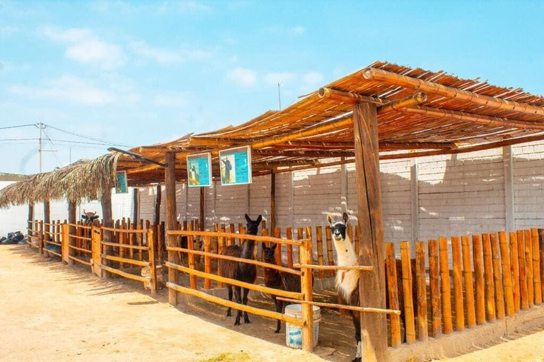Exterior & Views 2, HOTEL RESORT THIAGO, Chincha