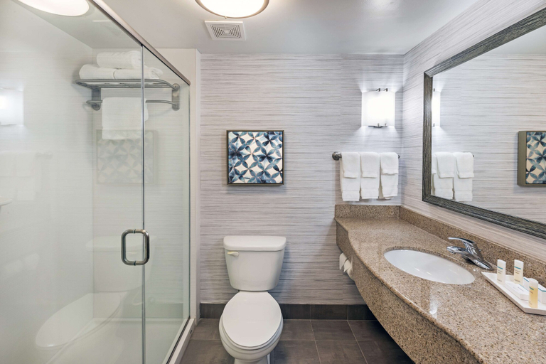 Bathroom 4, Hilton Garden Inn Aiken, Aiken