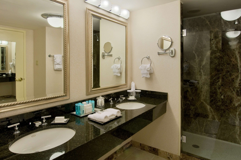 Bathroom 5, Hilton Newark Airport, Newark