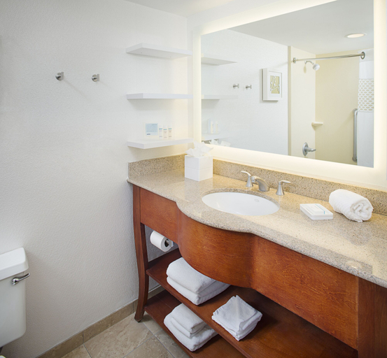 Bathroom 4, Hampton Inn Parsippany, Morris