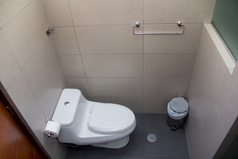 Bathroom, Departamento Familiar Platino, Lima