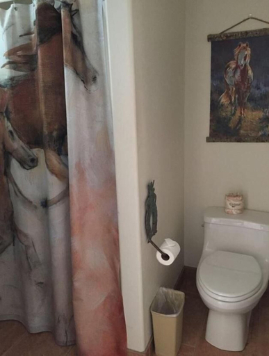 Bathroom 4, Hot Springs Inn, Ouray