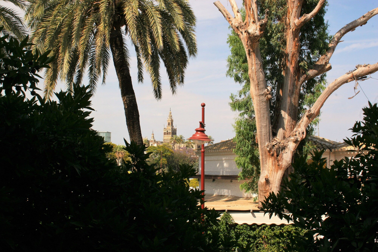 Exterior & Views, Seville Vacation Rentals - Giralda, Sevilla