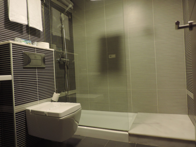Bathroom 5, Hotel Junquera, Pontevedra