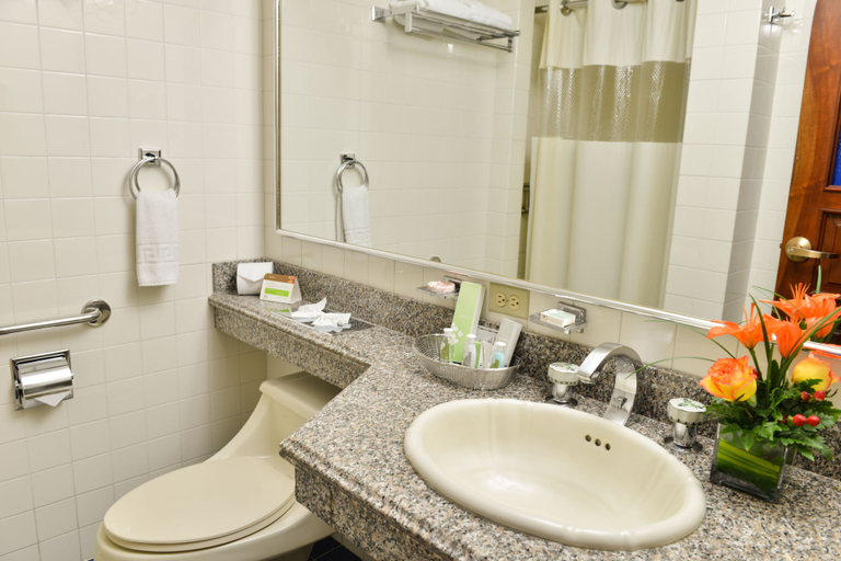 Bathroom 4, Hotel Plaza Del Libertador, Distrito Central