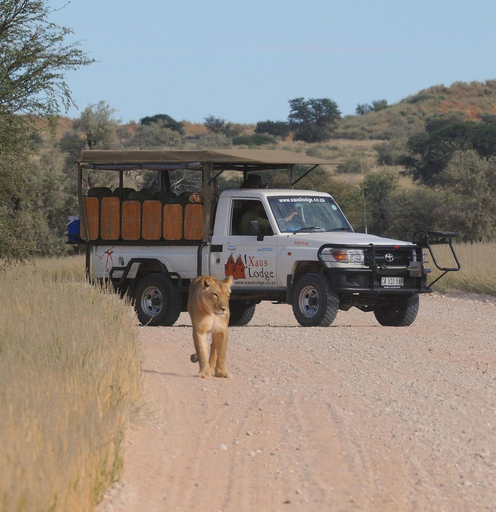 Others 5, Xaus Lodge, Siyanda
