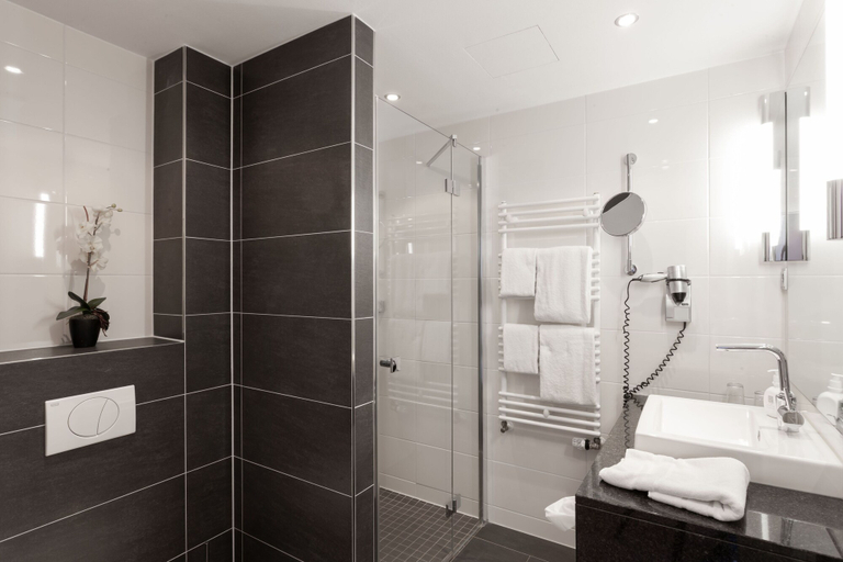 Bathroom 5, Hotel Am See, Salzgitter