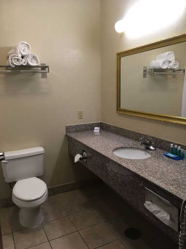 Bathroom 3, Holiday Inn Express & Suites CADILLAC by IHG, Wexford