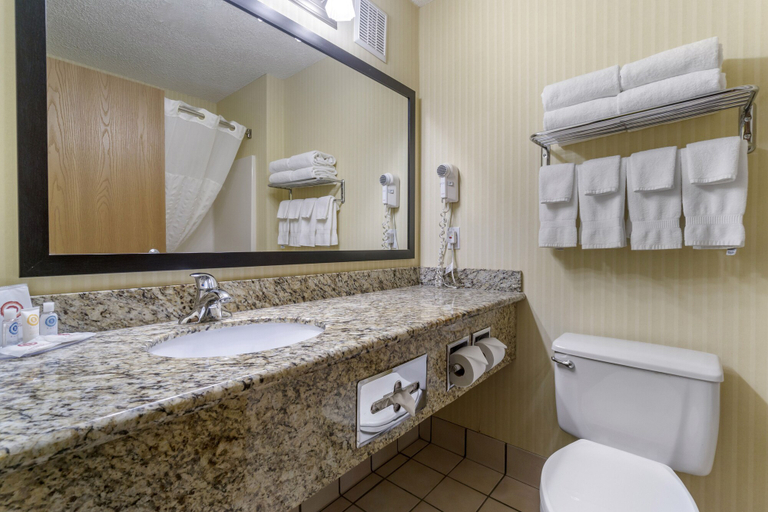 Bathroom 4, Comfort Inn & Suites Bothell - Seattle North, Snohomish