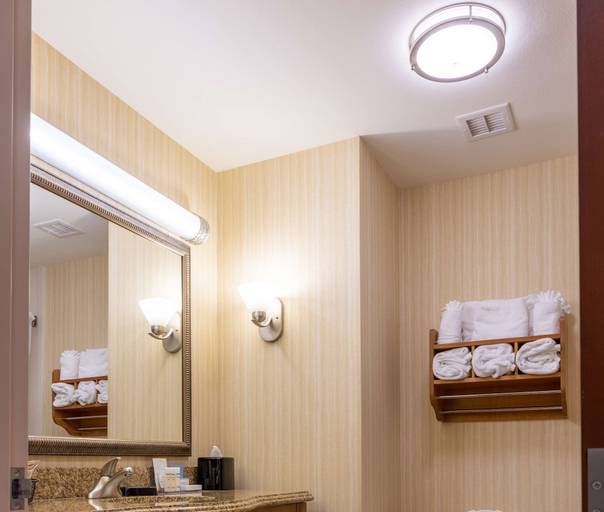Bathroom 4, Hampton Inn Alice, Jim Wells