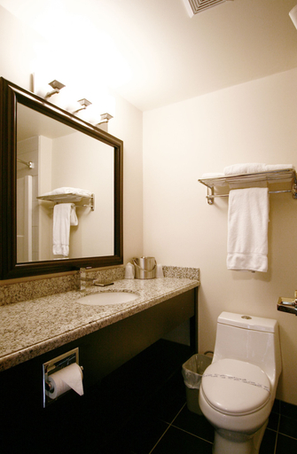 Bathroom 4, Foxwood Inn & Suites, Division No. 11