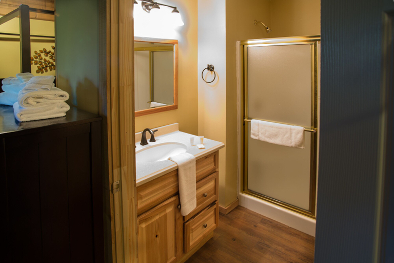 Bathroom 4, Forrest Hills Mountain Resort, Lumpkin