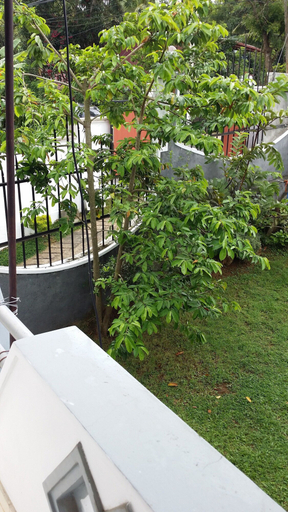 Others 5, Village Villa Home Stay, Kundasale