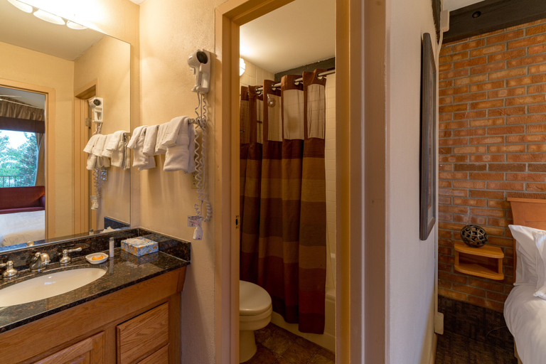Bathroom 4, Mountain Chalet Snowmass, Pitkin