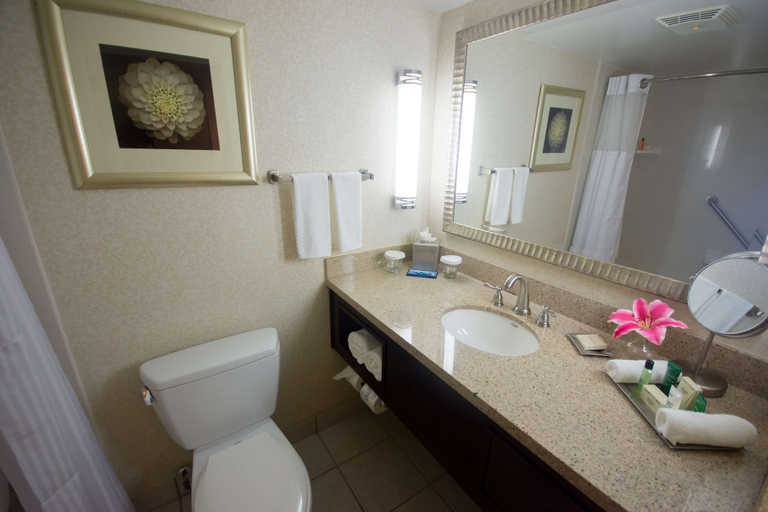 Bathroom 4, Hilton Palm Beach PBI, Palm Beach