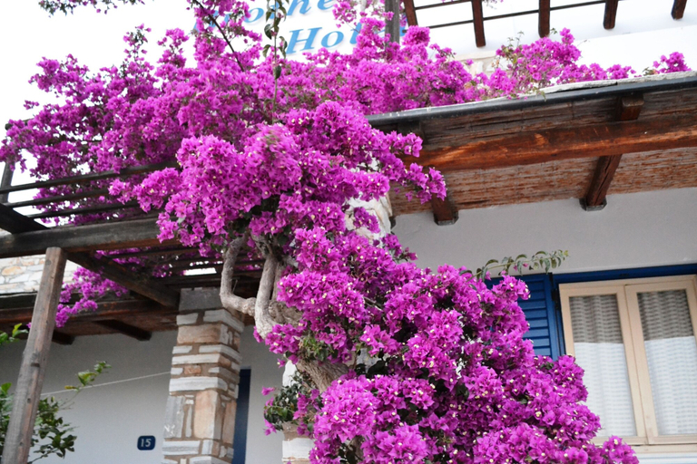 Exterior & Views 2, Brothers Hotel, South Aegean