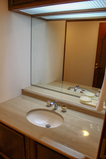 Bathroom 4, Hotel Higashinihon Utsunomiya, Utsunomiya