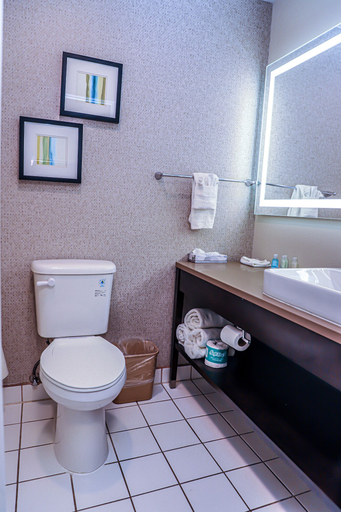 Bathroom 4, Quality Inn & Suites Camarillo - Oxnard, Ventura