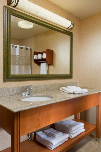 Bathroom 4, Hampton Inn Chicago / Tinley Park, Will